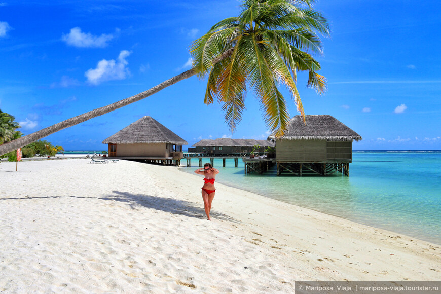 Райское наслаждение — это про Мальдивы