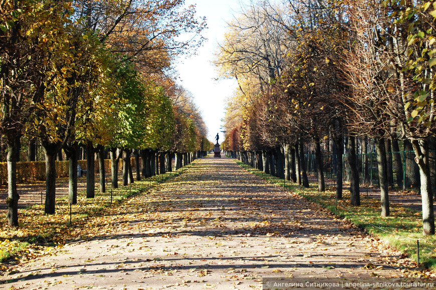 Дорожка парка Петергофа.