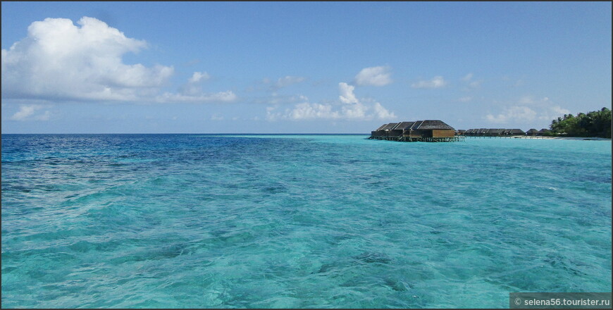 Вид на лагуну и наш мршрут над рифом  по (границе темной и светлой воды ).