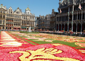 Бельгия: Брюссель и его Цветочный Ковер