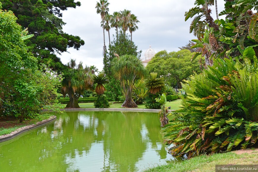 Белен, ботанический сад Жардим Ботанико