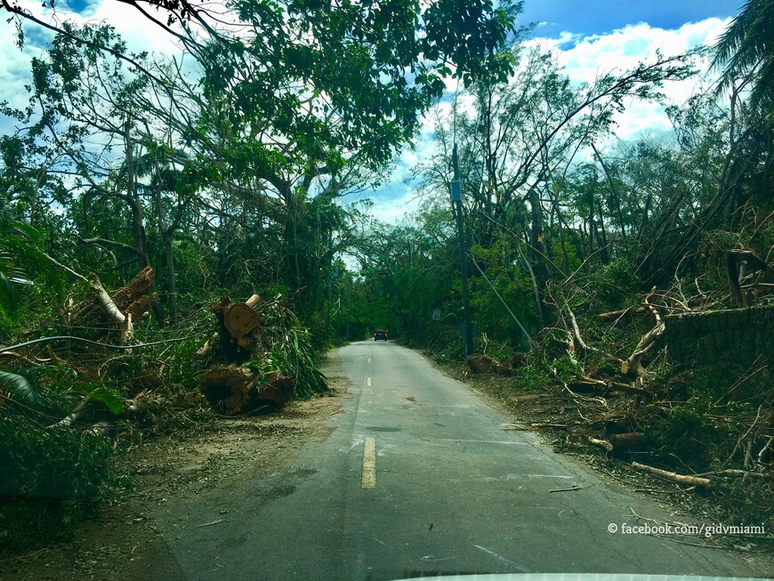 Майами после урагана Ирма