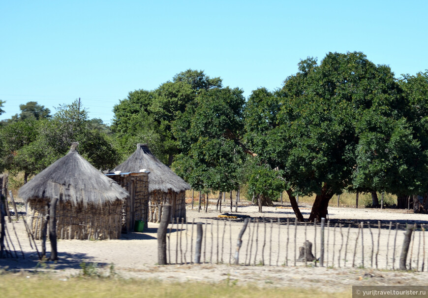 Долгая дорога от бушменов Намибии к дельте Окаванго в Ботсване