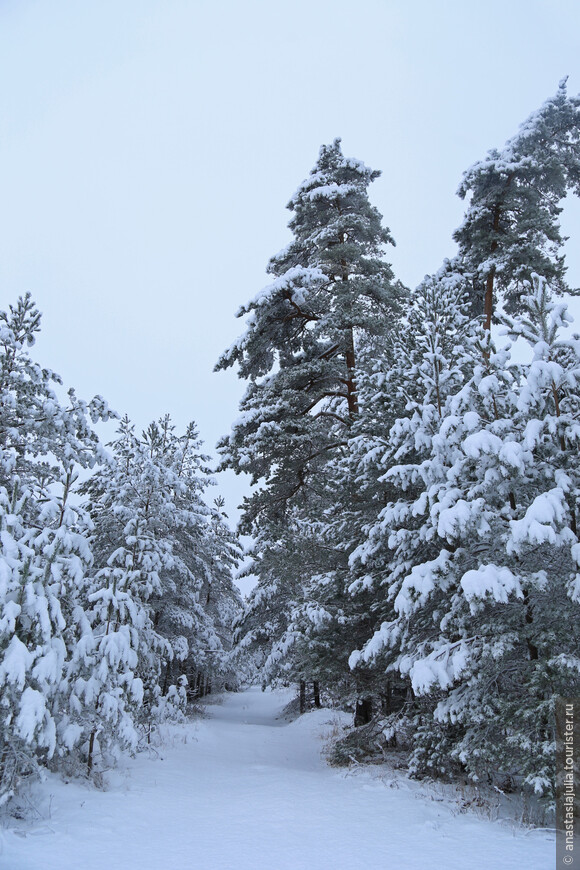 Зимняя Эстония. 11 изюминок, которые нельзя пропустить. Часть завершающая – самая снежная!