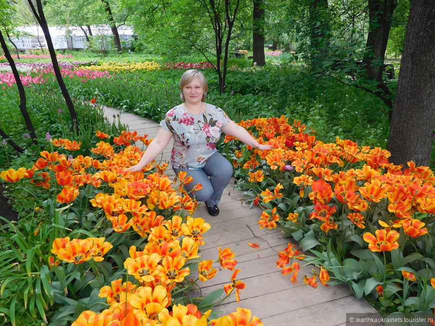 Бурное цветение в большом каменном городе