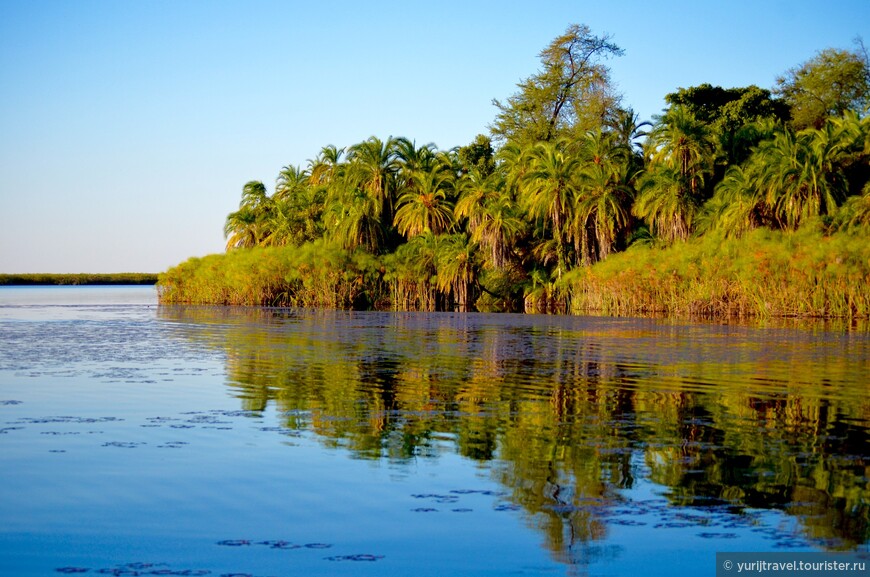 Активные экскурсии в дельте реки Окаванго