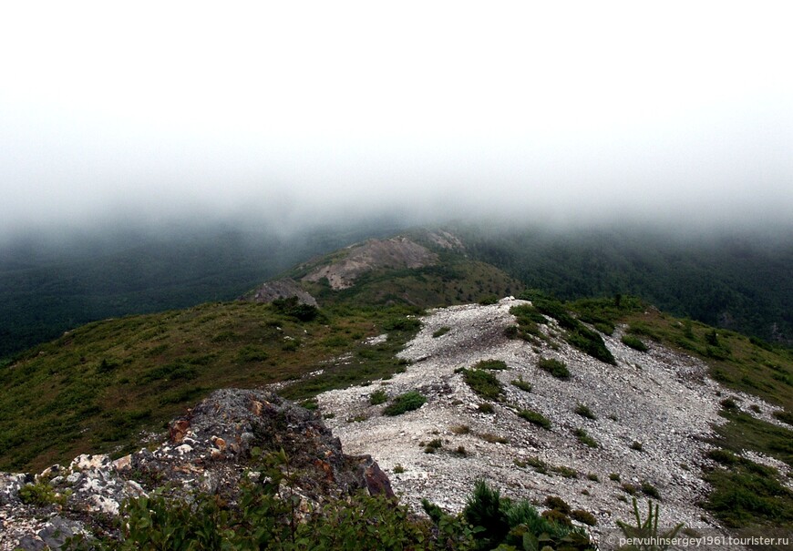 Туман на высоте около 500 метров. Одна из вершин г. Юноны, 470 метров. Фото: август 2005