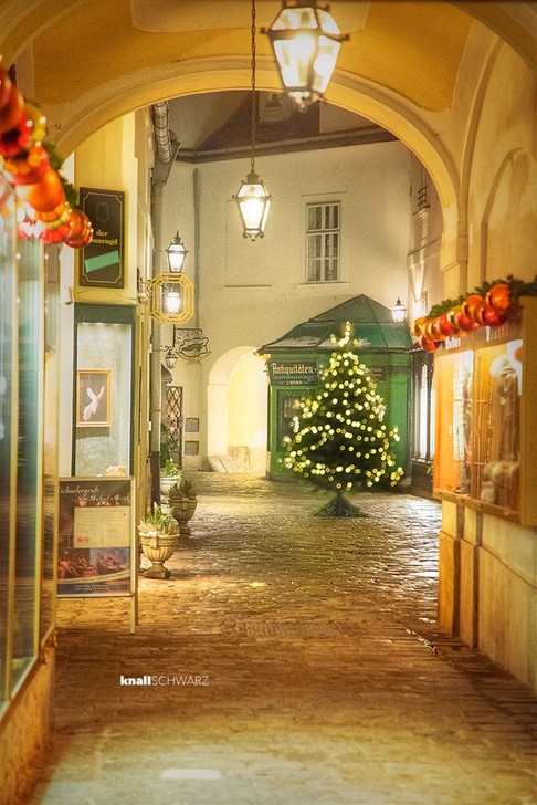 Рождественские рынки Вены.Тест-драйв