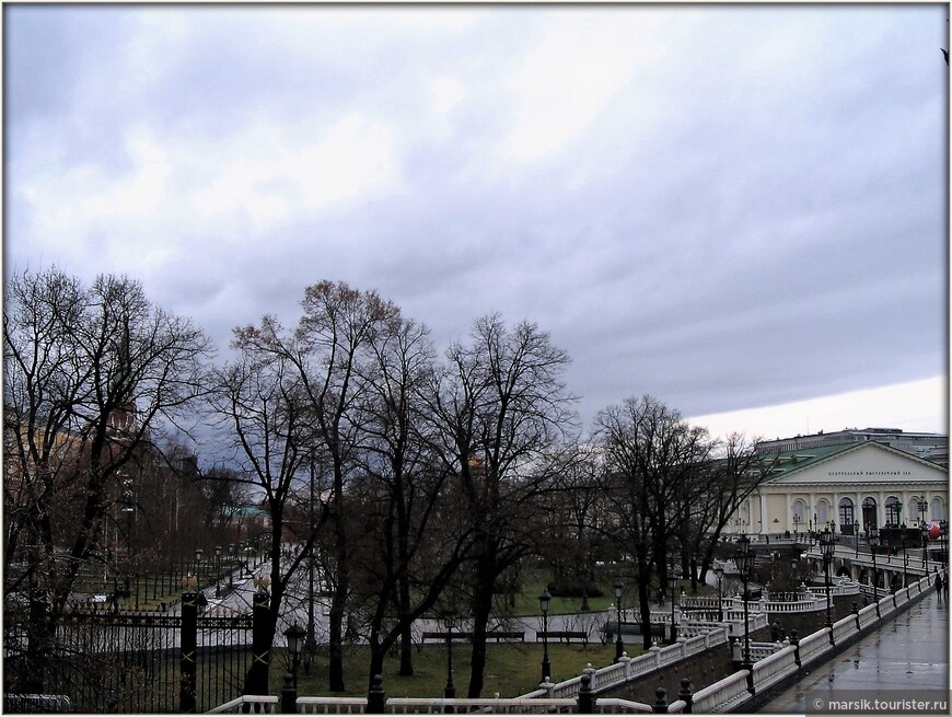Падал зимний дождь в Москве предновогодней...