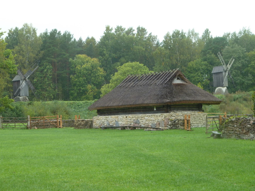 Прогулки по окрестностям Таллина. Рока аль маре, Пирита, Кадриорг.