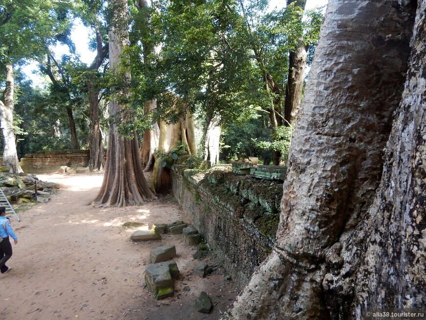 Искусство в камне. Храмы Ангкор