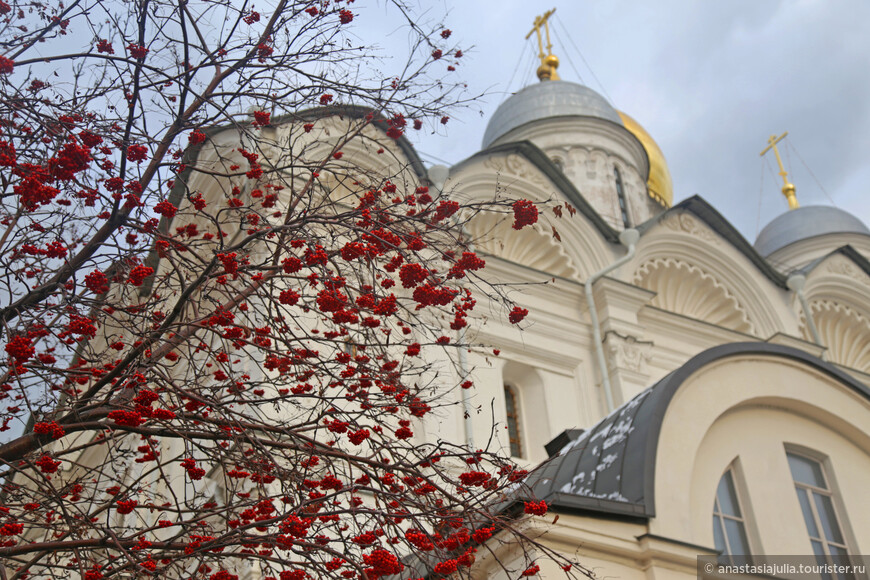 Моя Москва. Ближе к звездам…