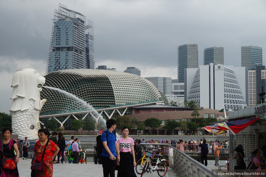 Сингапур... Первые впечатления