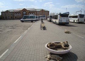 Автовокзал Егорьевска. Привокзальная площадь