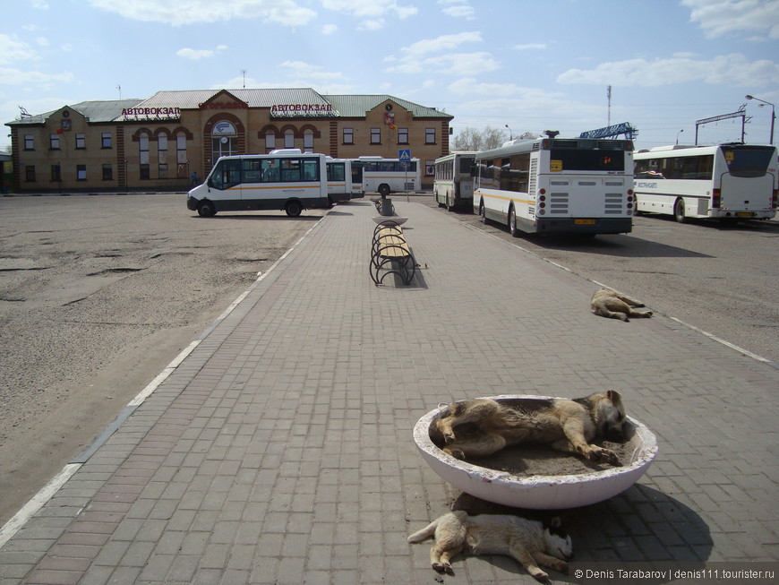 Автовокзал Егорьевска. Привокзальная площадь