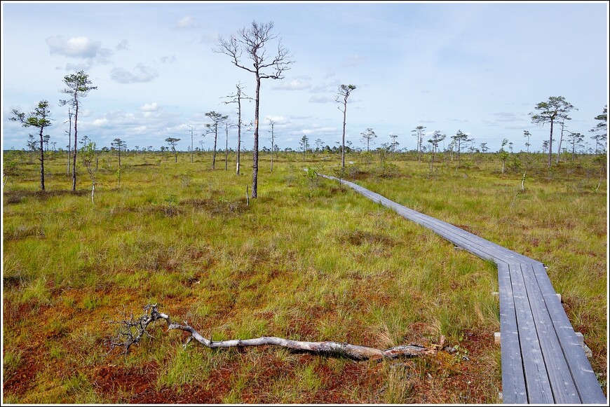 Национальный парк Соомаа — пешком и на каноэ
