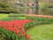 Нидерланды, парк цветов Keukenhof, 2011 год (видеозарисовка)