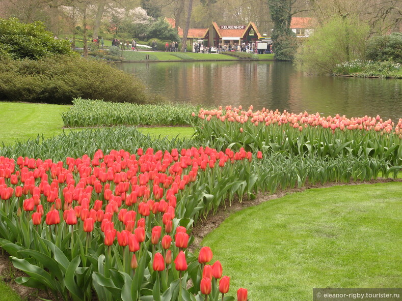 Нидерланды, парк цветов Keukenhof, 2011 год (видеозарисовка)