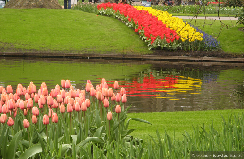 Нидерланды, парк цветов Keukenhof, 2011 год (видеозарисовка)