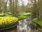 Нидерланды, парк цветов Keukenhof, 2011 год (видеозарисовка)