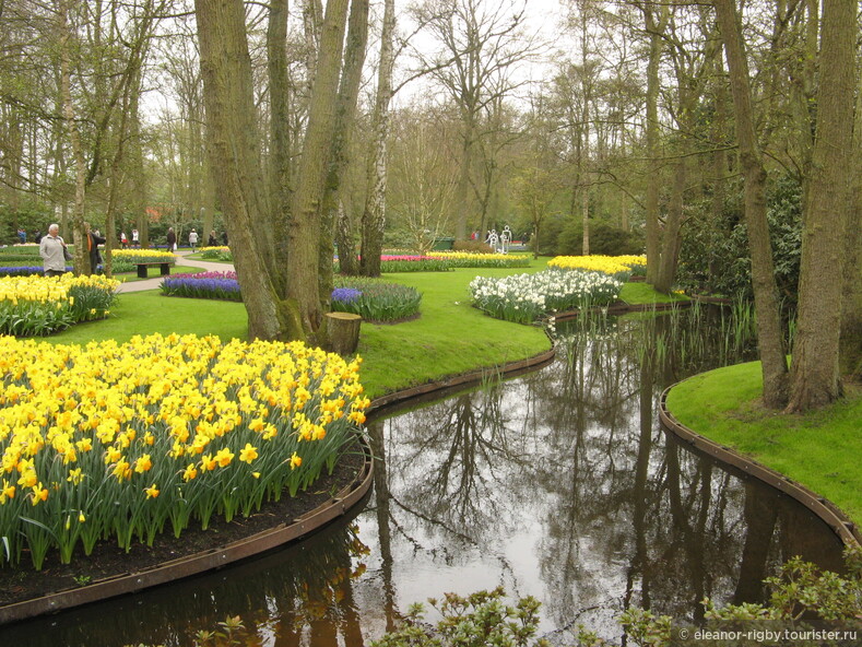 Нидерланды, парк цветов Keukenhof, 2011 год (видеозарисовка)