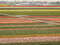 Нидерланды, парк цветов Keukenhof, 2011 год (видеозарисовка)