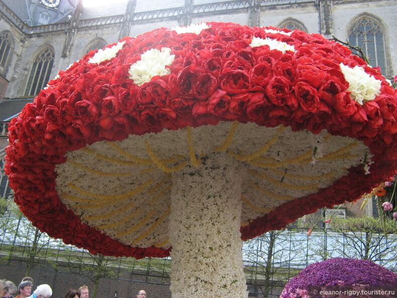 Нидерланды, парад цветов Bloemencorso  в Харлеме, 2011 год (видеозарисовка)