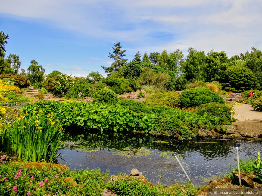 Welcome to the Royal Botanic Garden Edinburgh