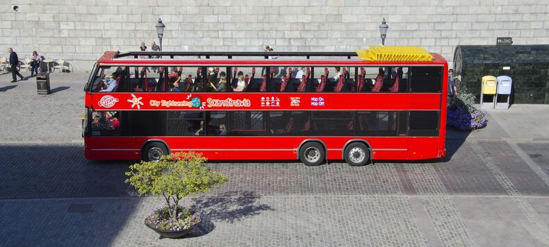 Подводные жители в 2019 году Подводные жители в 2019 году