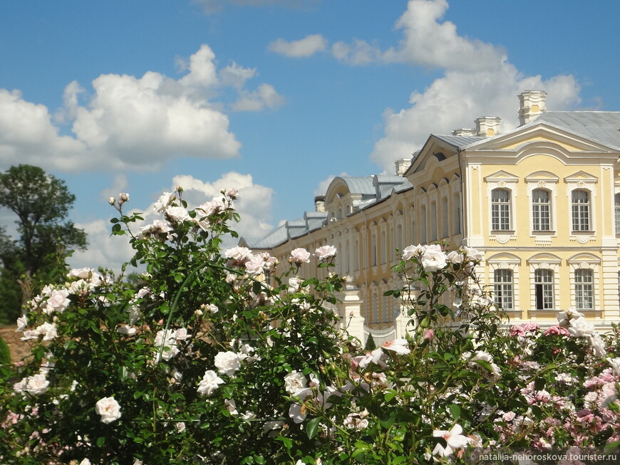 Розовый сад в Рундале