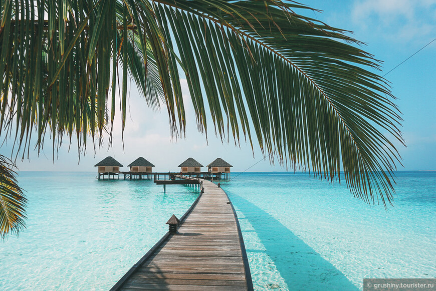 10 мифов о Мальдивах