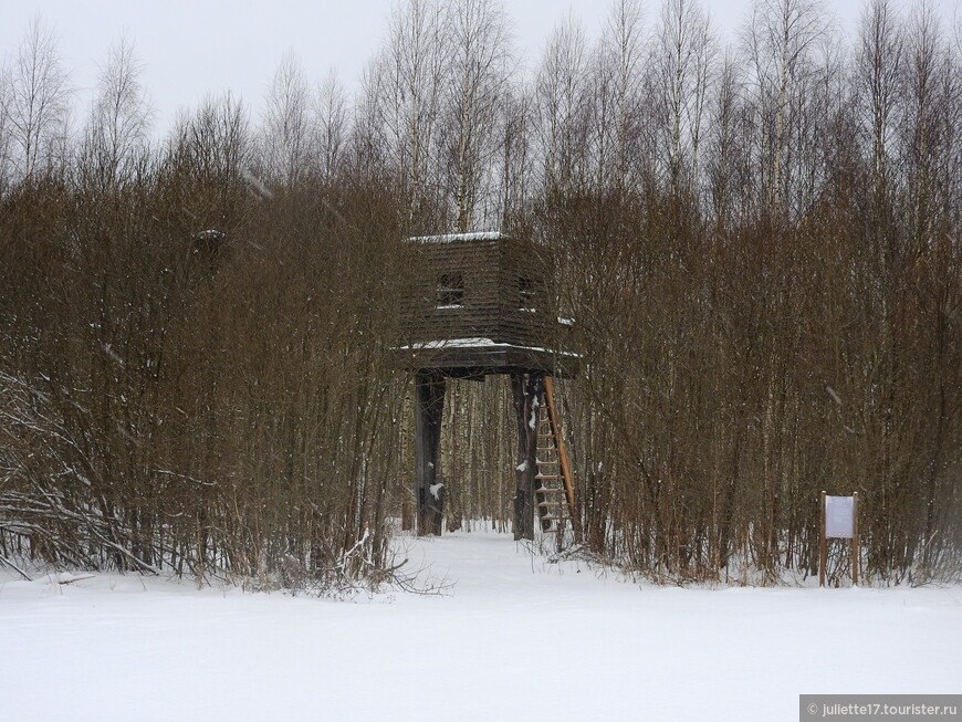 В краю российского лэнд-арта