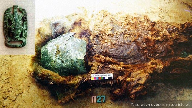 Находка на р.Полуй... мумификация с помощью меди... В 2015 г. в археологическом комплексе Зеленый Яр в Приуральском районе был обнаружен кокон с мумией ребенка. При первичном обследовании кокона из бересты размером 1,3 метра и шириной около 30 сантиметров, под корой были обнаружены листы меди, прикрывающие лицо и другие органы мумии. По мнению археологов, такой ритуал захоронения был призван остановить тление и вкупе с вечной мерзлотой создать условия для естественного мумифицирования тел. http://www.interfax.ru/russia/454574
Рядом с мумией лежали боевой топор и поясная пряжка с изображением головы медведя - символа силы и власти. Судя по всему это было царское захоронение - так обычно погребали вождей.
http://ruskline.ru/monitoring_smi/2002/06/30/chetvertaya_rasa/ 