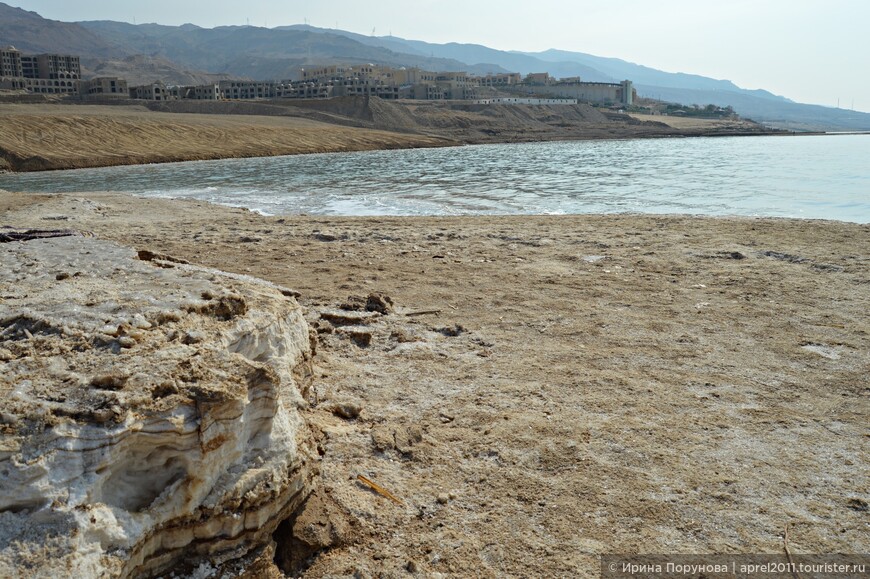 Мёртвое море — солёные берега