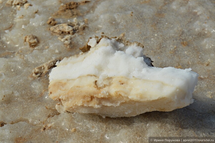 Мёртвое море — солёные берега