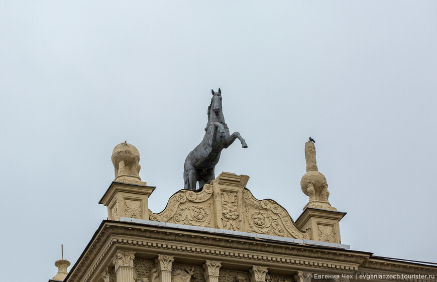 В Москве-столице... О путешествиях, Наполеоне, лошадях и лошадниках