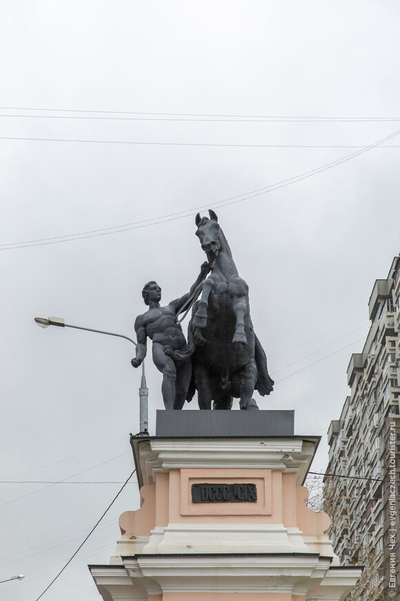 В Москве-столице... О путешествиях, Наполеоне, лошадях и лошадниках