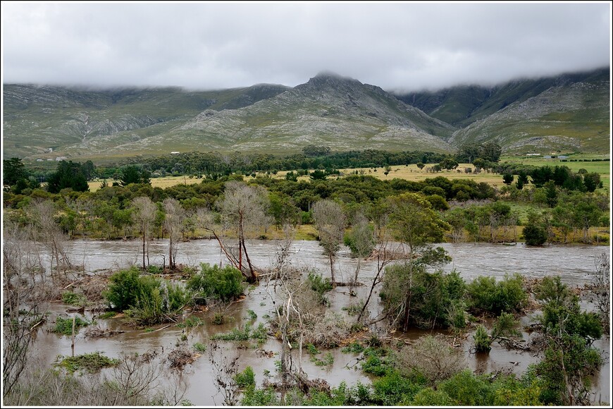 Южноафриканское сафари. Наводнение на мысе Игольном