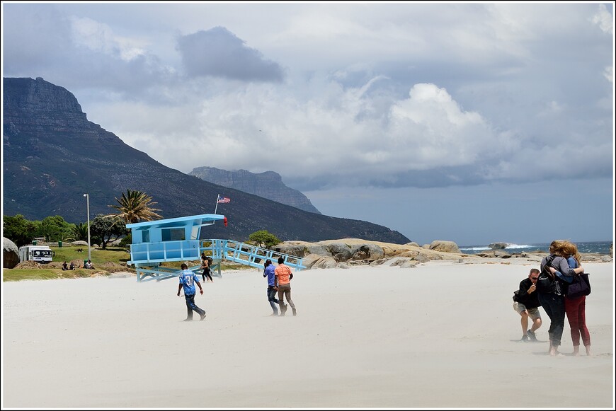 Южноафриканское сафари. По Кейптауну на красном автобусе