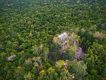 Ученые нашли древний город майя в джунглях Гватемалы