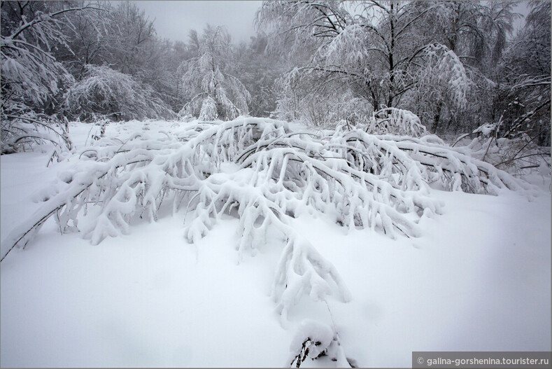 Снегопад века в Москве