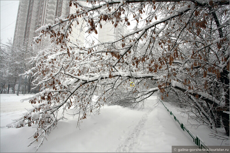 Снегопад века в Москве