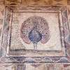 Мозаика в Археологическом парке Пафоса
