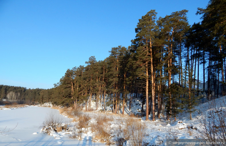 Вид на пойму Пышмы зимой. Сосновый лес на левовм берегу. Фото © Новопашин С.А., 2018