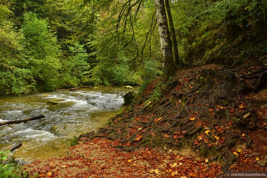 Осенний марафон. День 8 (ч.3) Франш-Конте (Franche-Comté). Водопады Эриссон (Cascades du Hérisson)