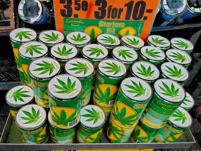 цена марихуаны в нидерландах