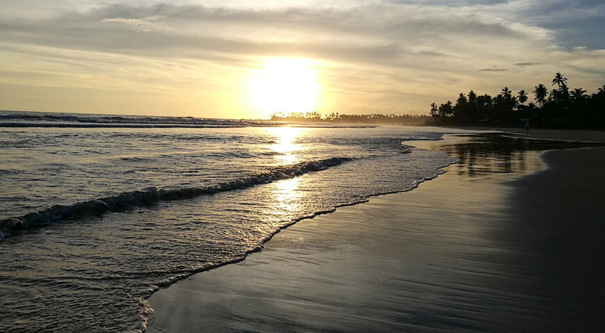 Пляж Диквелла (Dickwella Beach)