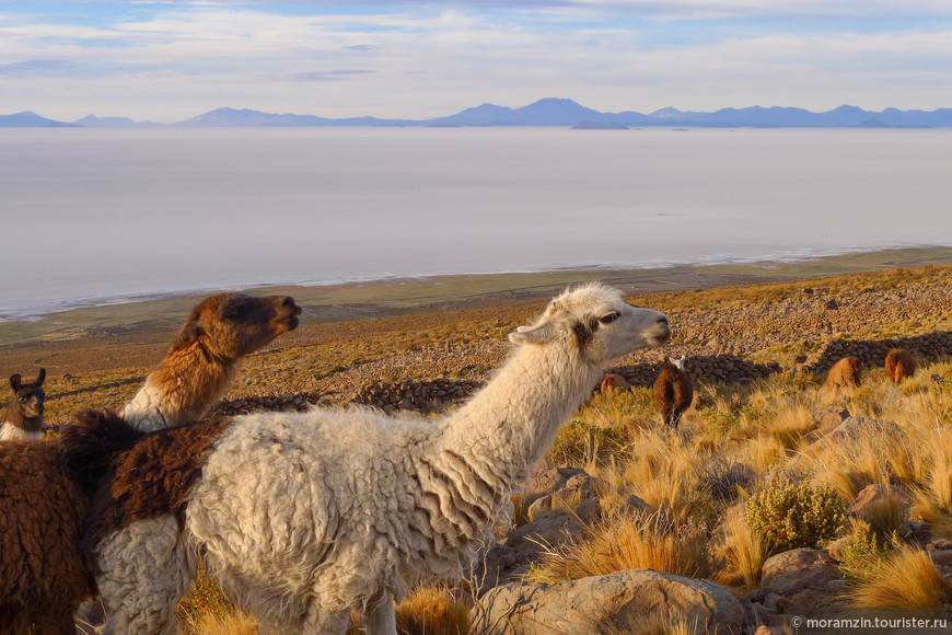 Невероятная Боливия — путешествие через всю страну на автомобиле