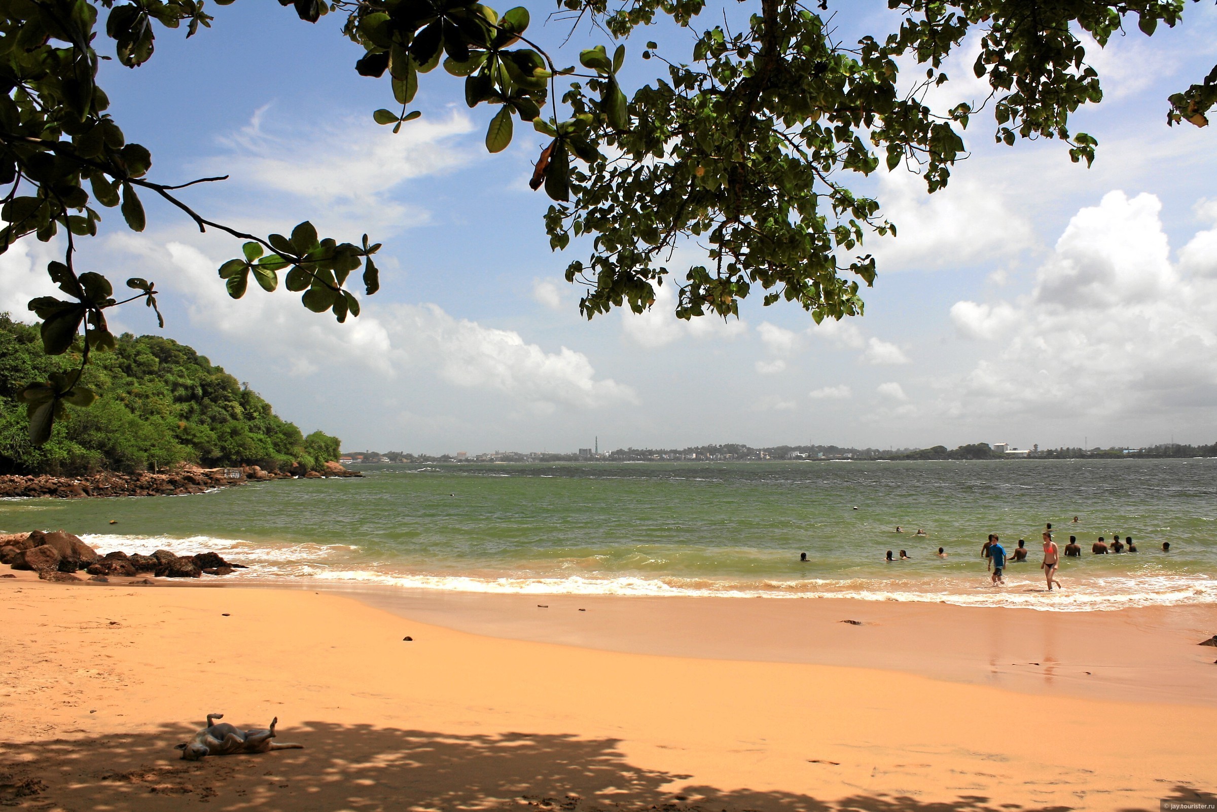 Унаватуна пляж с черепахами. Унаватуна Шри Ланка. Виджая Бич Шри Ланка Унаватуна. Пляж Унаватуна Шри. Пляж Унаватуна Шри Ланка.