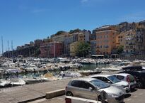 Vieux Port Bastia.jpg